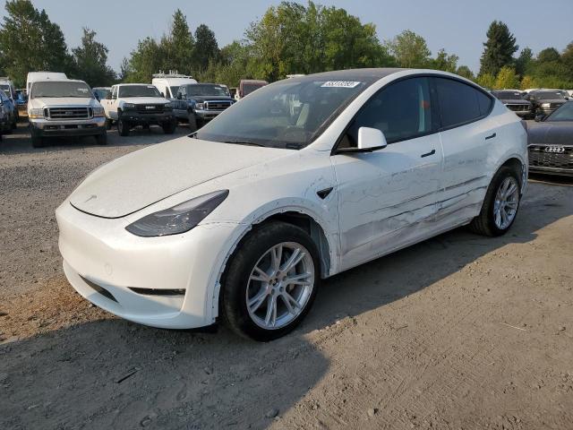 TESLA MODEL Y 2023 7saygdee7pf816759