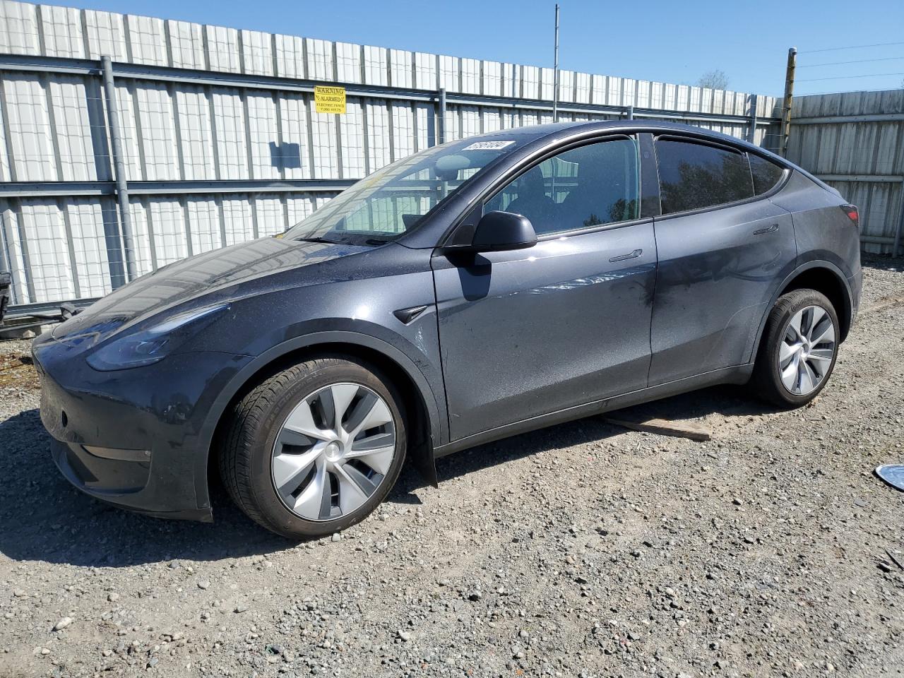 TESLA MODEL Y 2024 7saygdee7rf008818