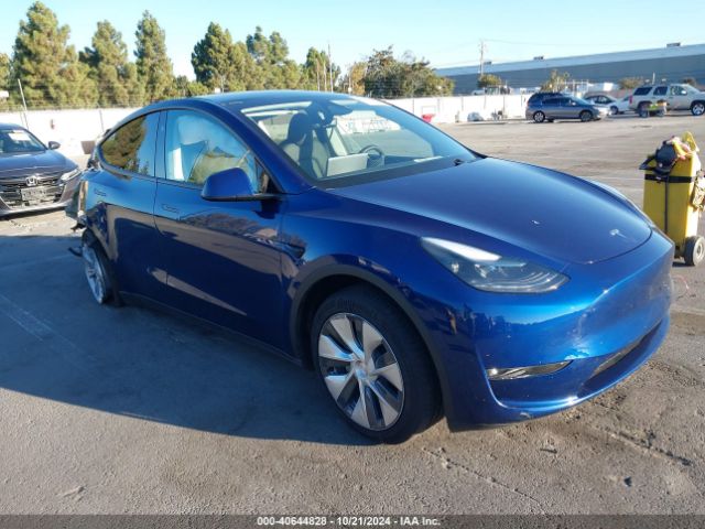 TESLA MODEL Y 2024 7saygdee7rf031404