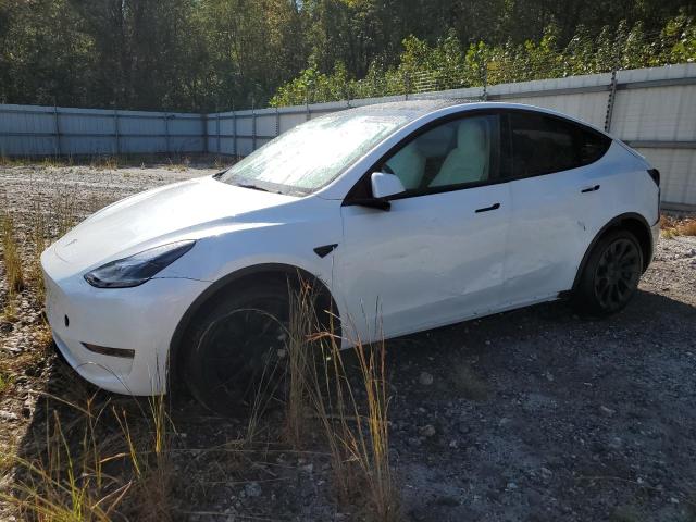 TESLA MODEL Y 2024 7saygdee7rf993704