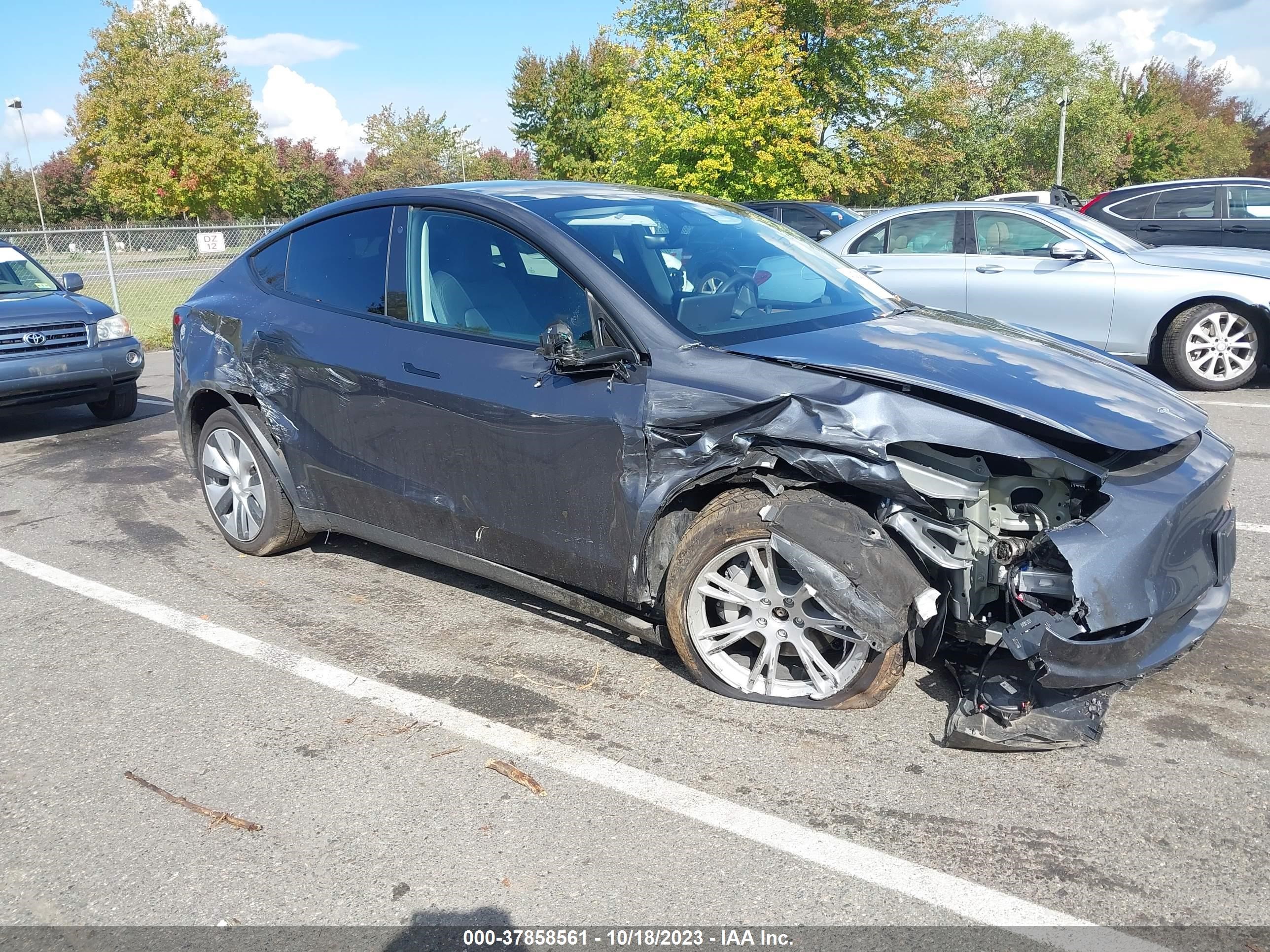 TESLA MODEL Y 2022 7saygdee8na018989