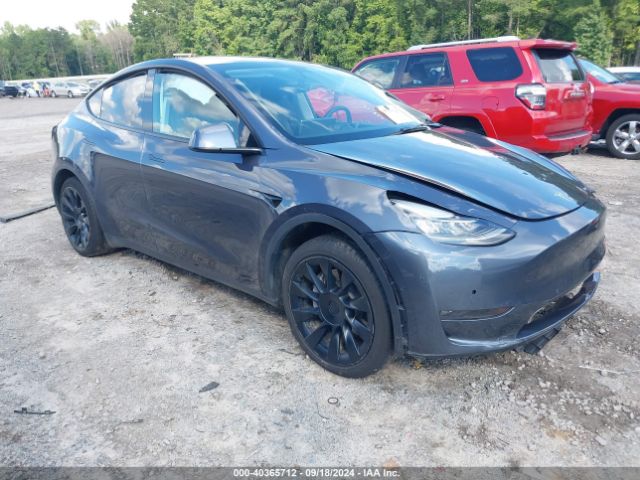 TESLA MODEL Y 2022 7saygdee8nf321855