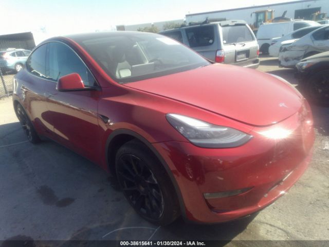 TESLA MODEL Y 2022 7saygdee8nf349980