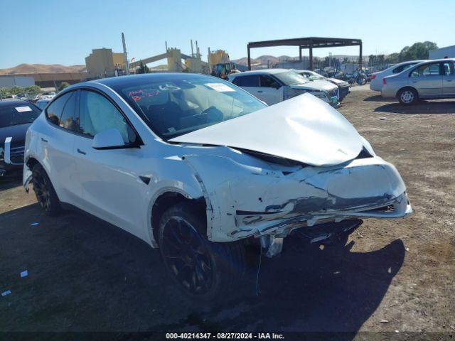 TESLA MODEL Y 2022 7saygdee8nf363362