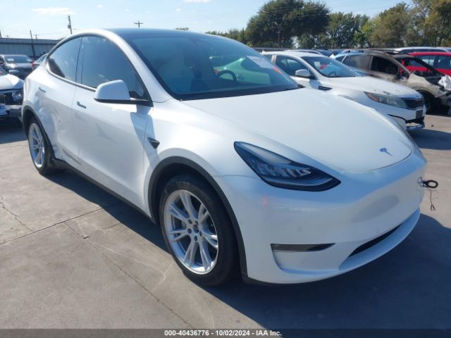 TESLA MODEL Y 2022 7saygdee8nf442241