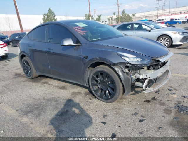 TESLA MODEL Y 2022 7saygdee8nf481380