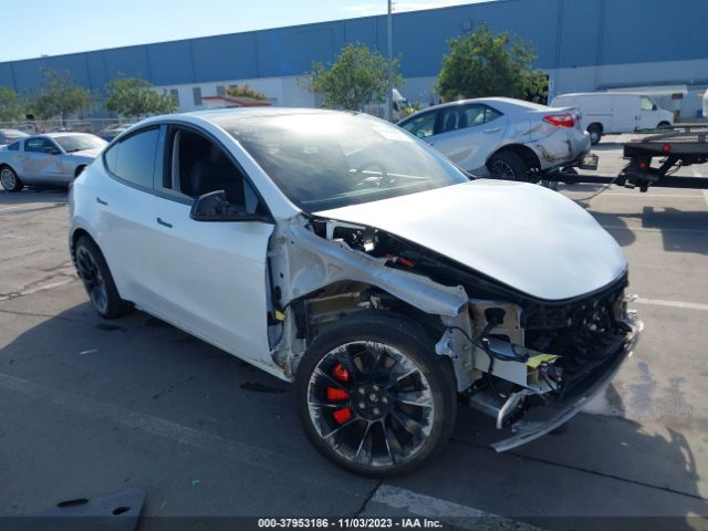 TESLA MODEL Y 2022 7saygdee8nf494873