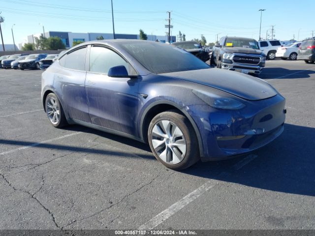 TESLA MODEL Y 2022 7saygdee8nf557874