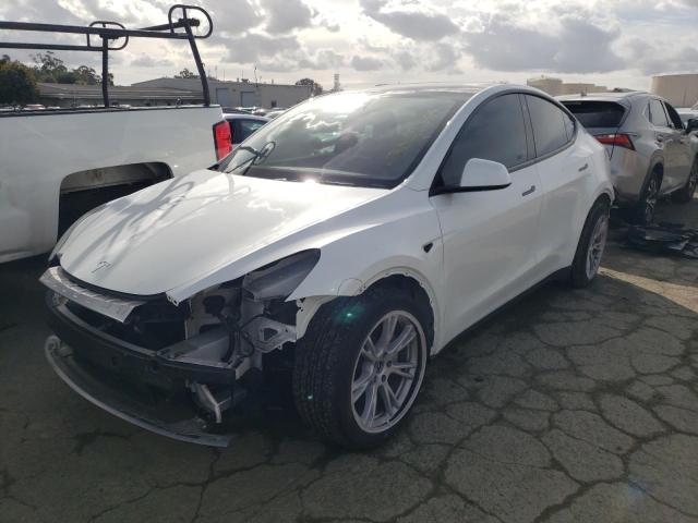 TESLA MODEL Y 2022 7saygdee8nf572696