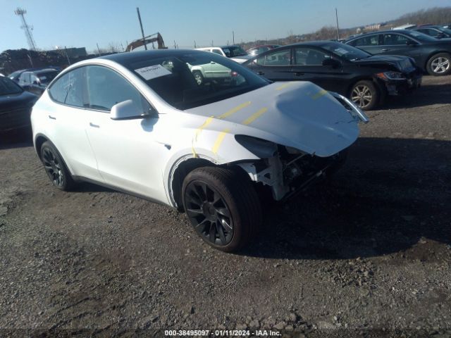 TESLA MODEL Y 2022 7saygdee8pa036248