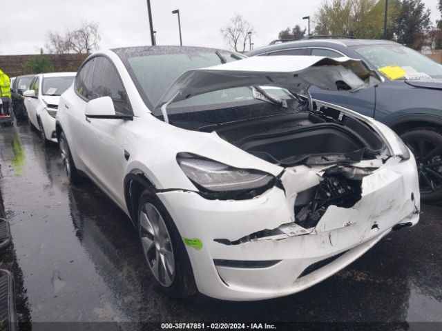 TESLA MODEL Y 2023 7saygdee8pa042180