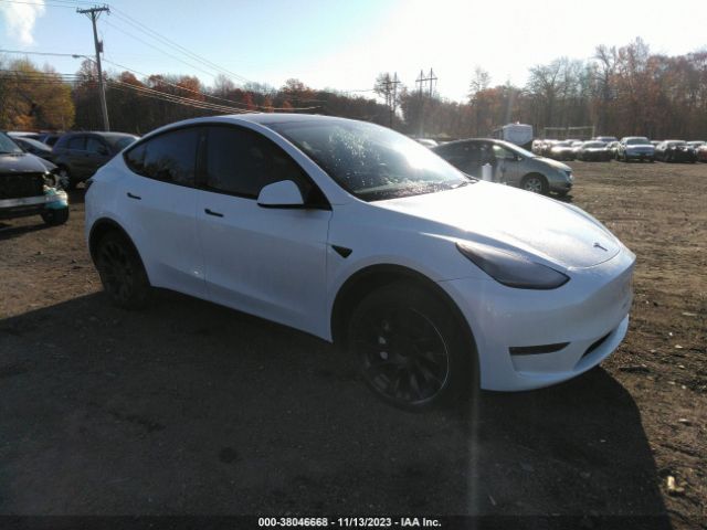 TESLA MODEL Y 2023 7saygdee8pa066897