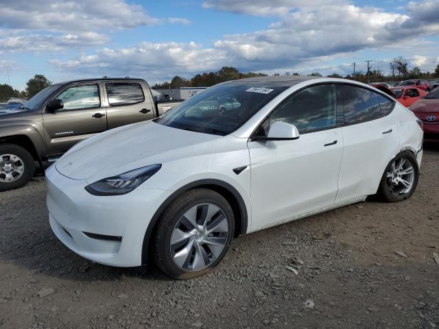 TESLA MISC PARTS 2023 7saygdee8pa101342