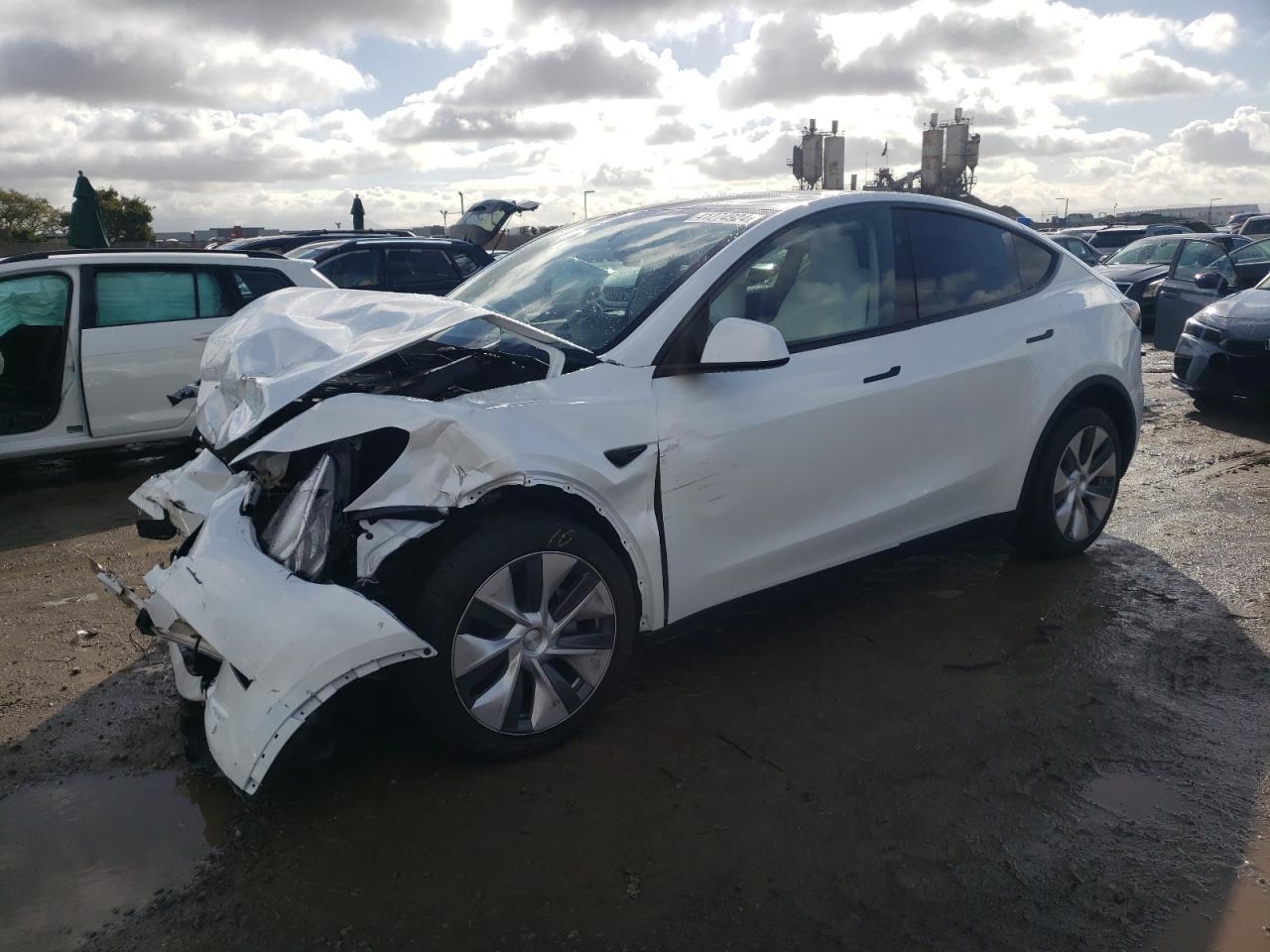 TESLA MODEL Y 2023 7saygdee8pa141596