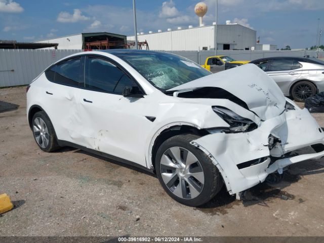 TESLA MODEL Y 2023 7saygdee8pa148886