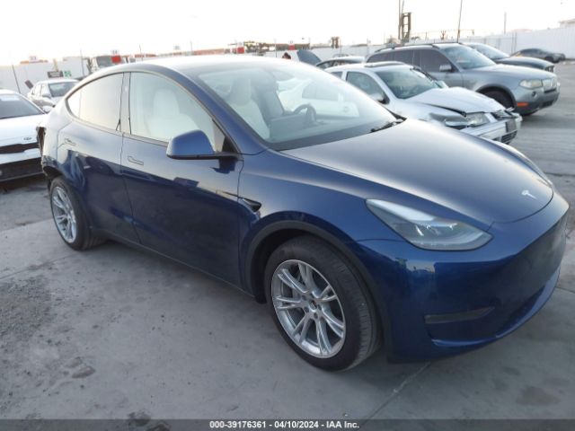 TESLA MODEL Y 2023 7saygdee8pa168071