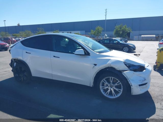 TESLA MODEL Y 2023 7saygdee8pf634374