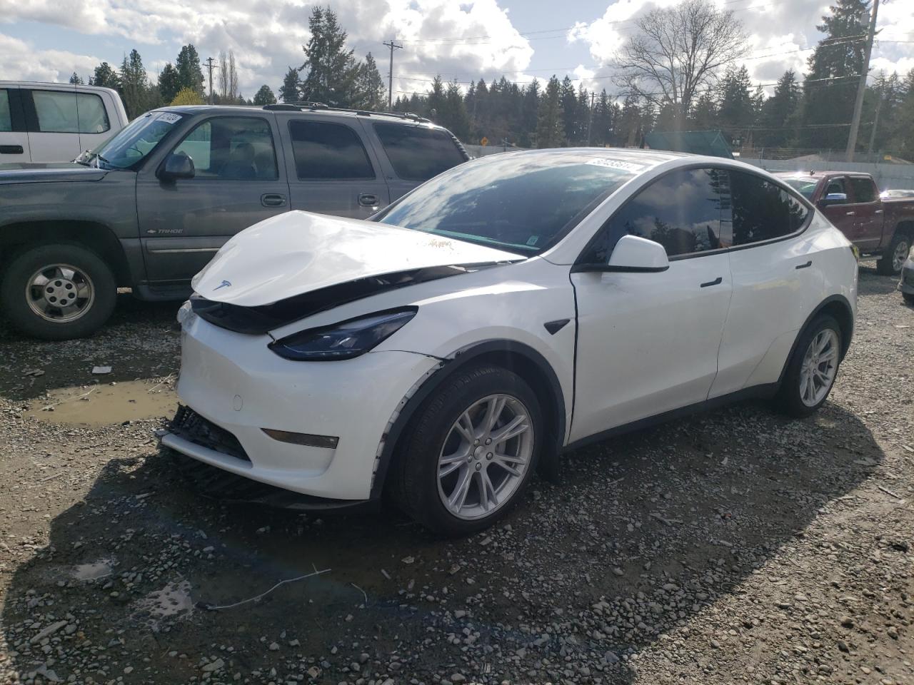 TESLA MODEL Y 2023 7saygdee8pf684935