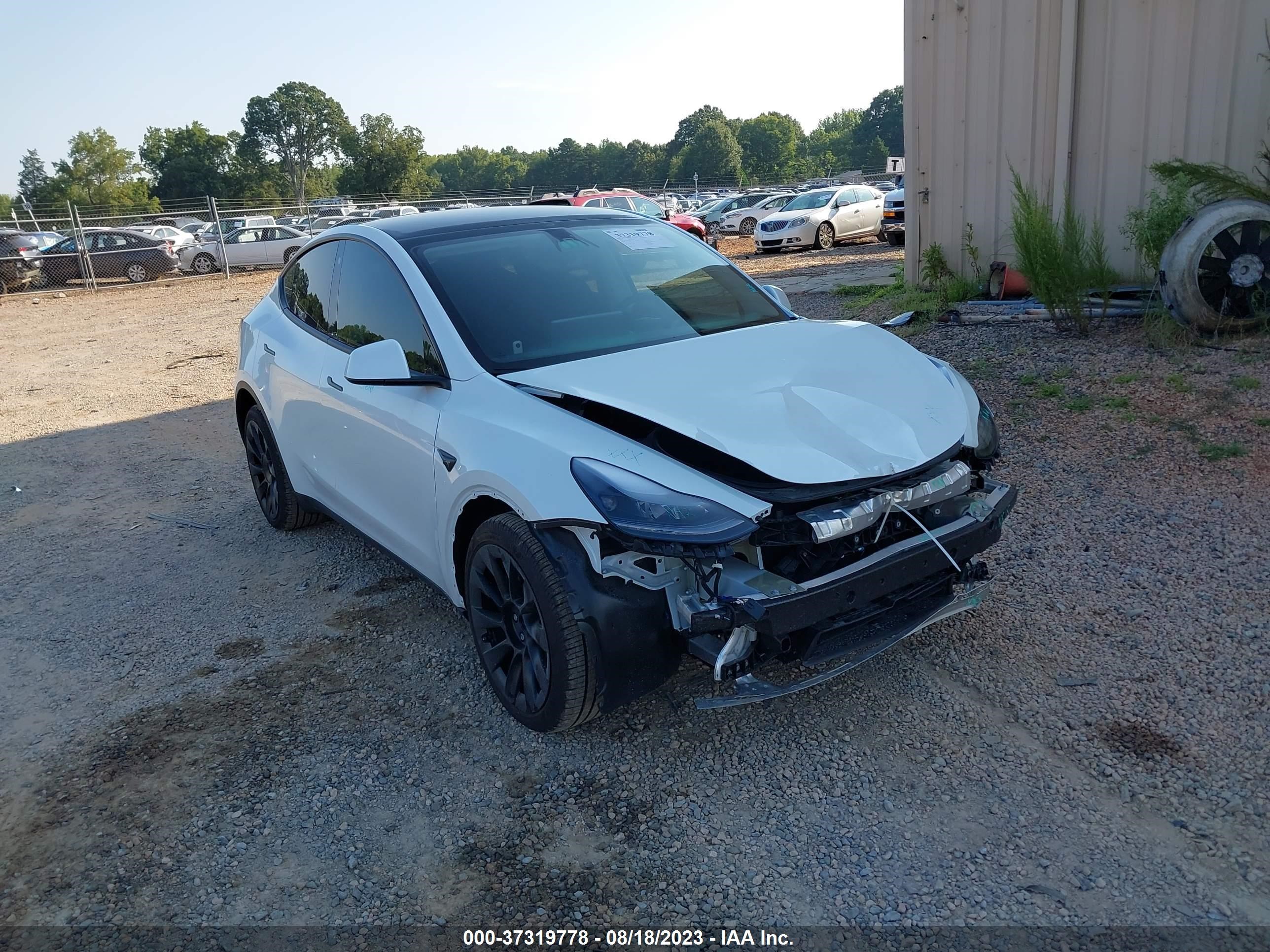 TESLA MODEL Y 2023 7saygdee8pf693649