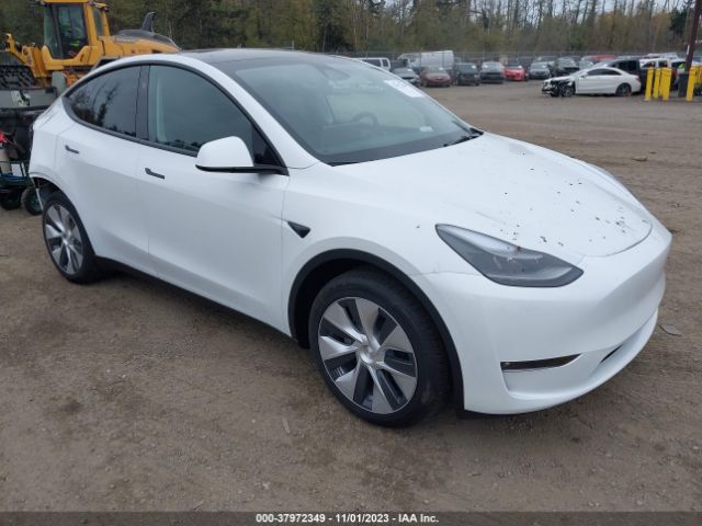 TESLA MODEL Y 2023 7saygdee8pf813532