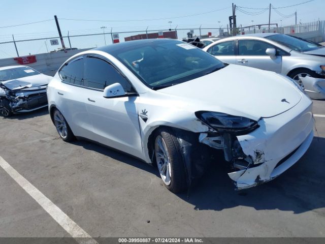 TESLA MODEL Y 2024 7saygdee8rf031251