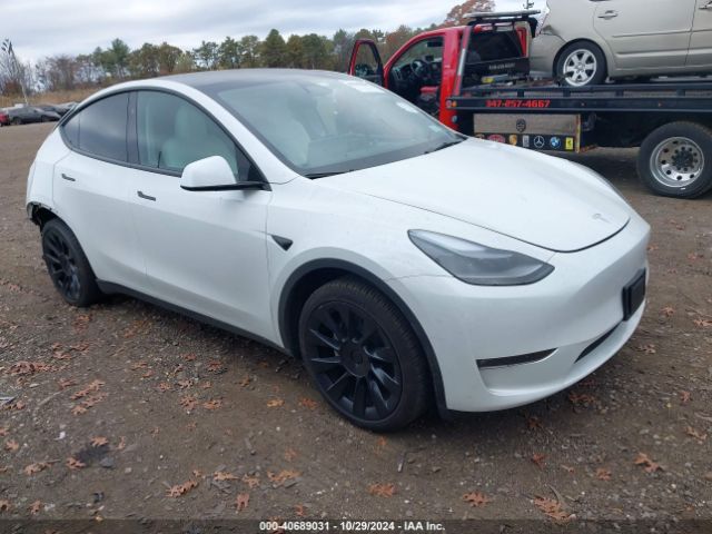 TESLA MODEL Y 2024 7saygdee8rf036837