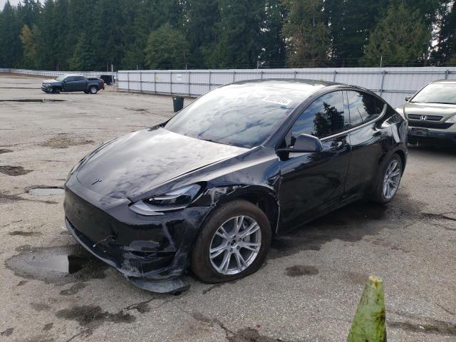 TESLA MODEL Y 2024 7saygdee8rf983196