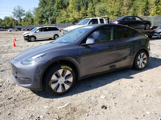 TESLA MODEL Y 2022 7saygdee9na021576