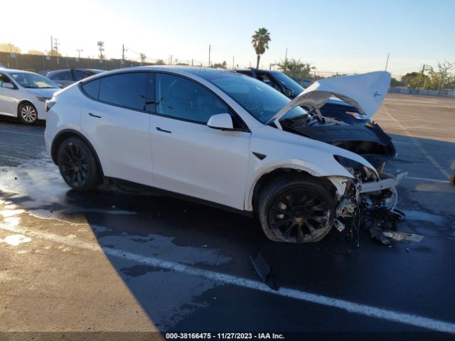 TESLA MODEL Y 2022 7saygdee9nf332637