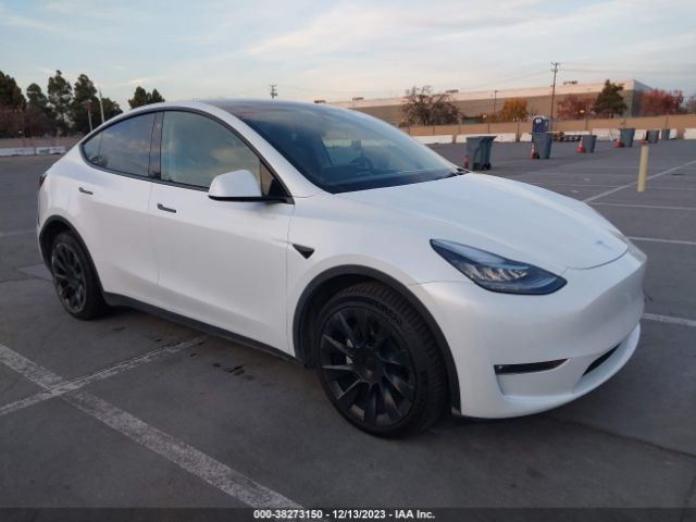 TESLA MODEL Y 2021 7saygdee9nf341239