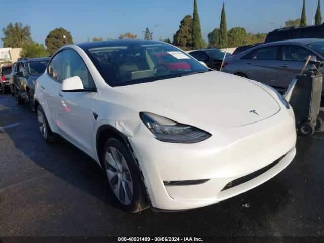 TESLA MODEL Y 2022 7saygdee9nf377187