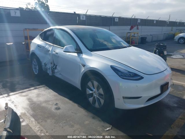 TESLA MODEL Y 2022 7saygdee9nf381451