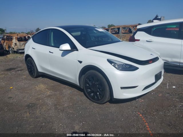 TESLA MODEL Y 2022 7saygdee9nf385869