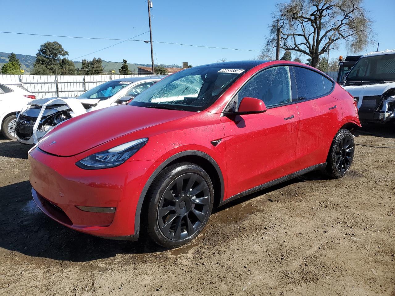 TESLA MODEL Y 2022 7saygdee9nf387170