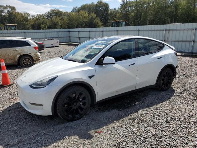 TESLA MODEL Y 2022 7saygdee9nf390280