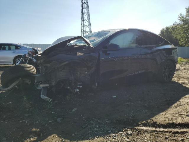 TESLA MODEL Y 2022 7saygdee9nf435041