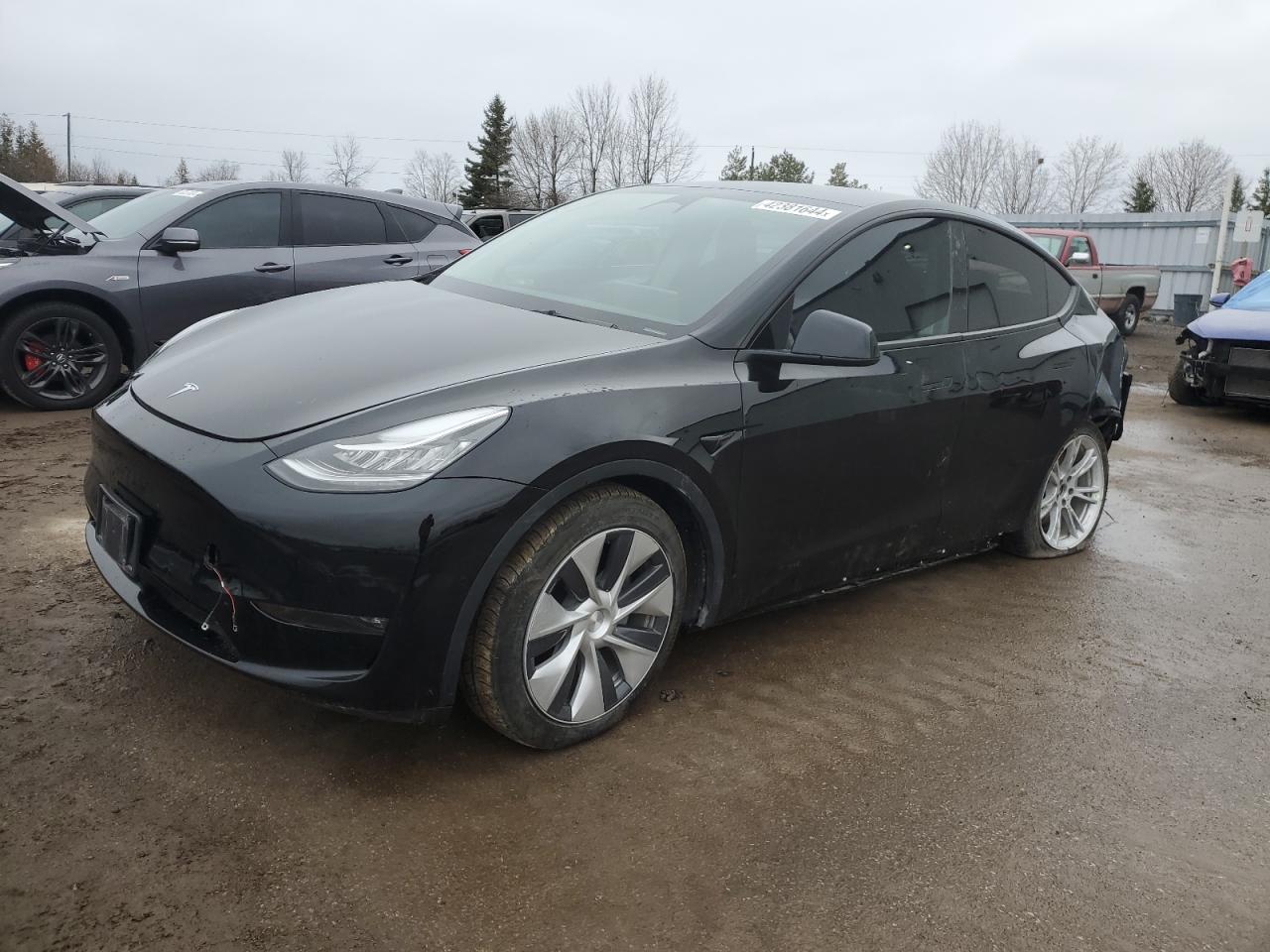 TESLA MODEL Y 2022 7saygdee9nf570536