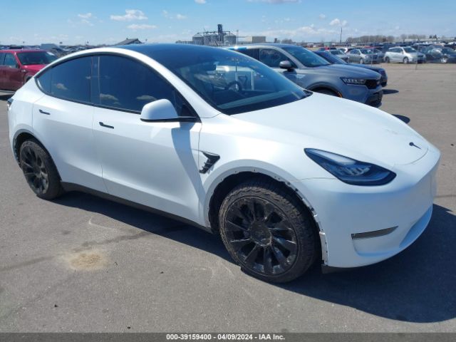 TESLA MODEL Y 2023 7saygdee9pa123446