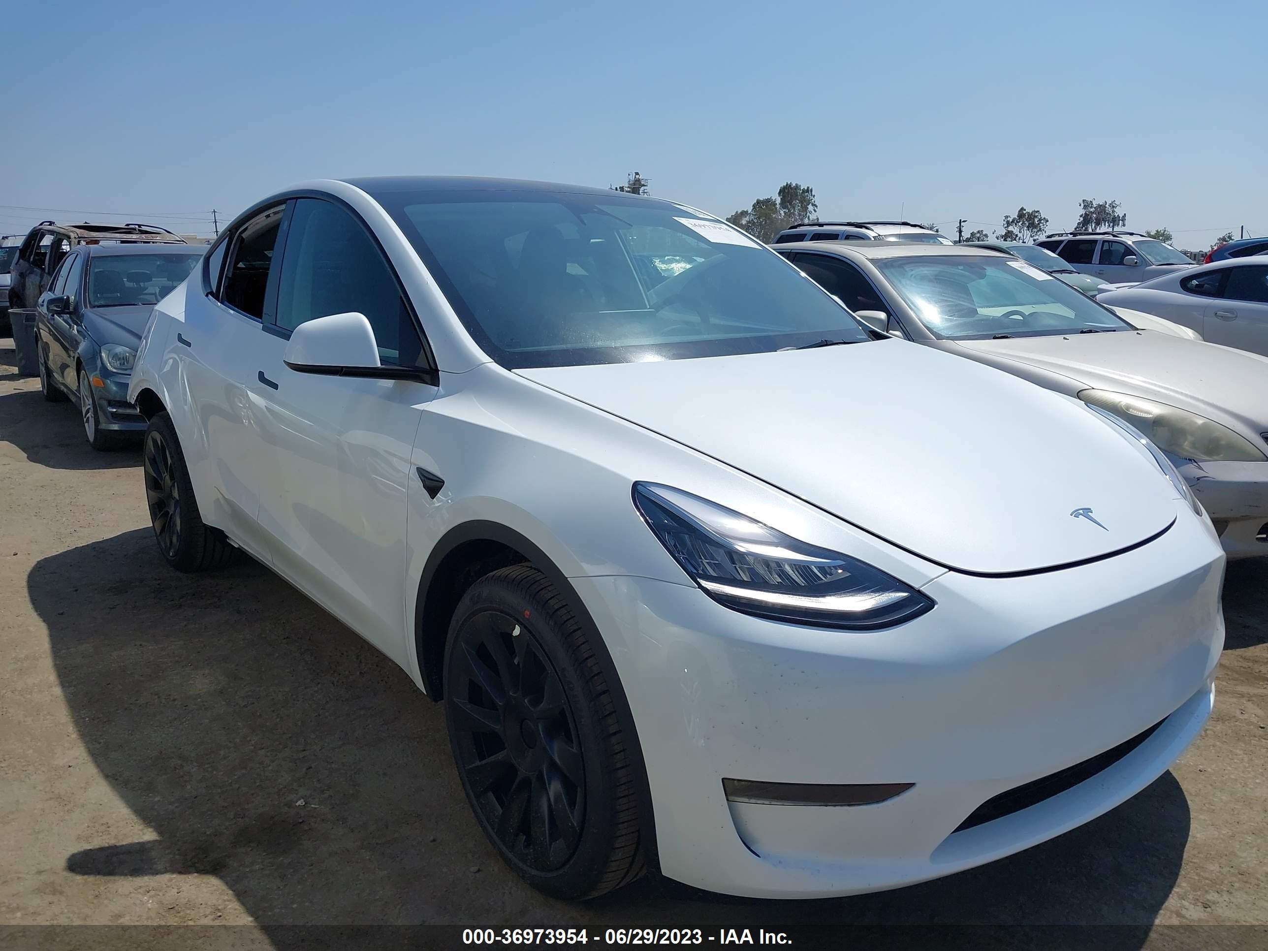 TESLA MODEL Y 2023 7saygdee9pa130929