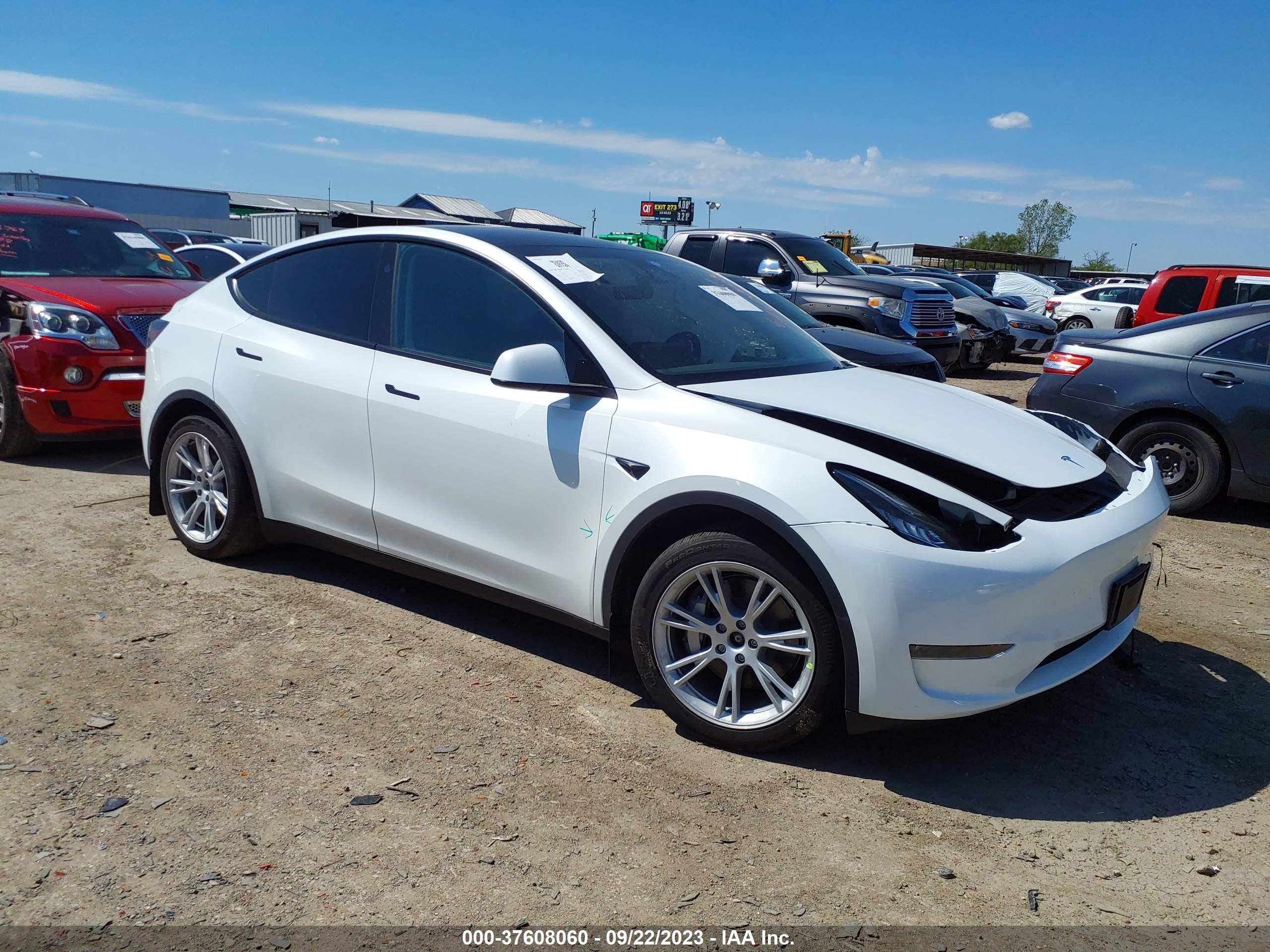 TESLA MODEL Y 2023 7saygdee9pa139839