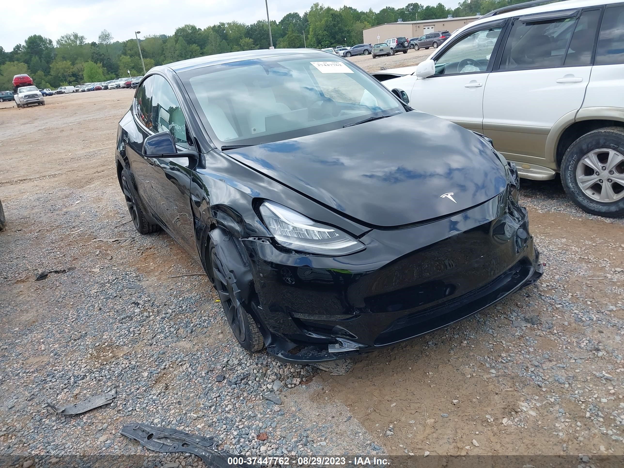 TESLA MODEL Y 2023 7saygdee9pa149223