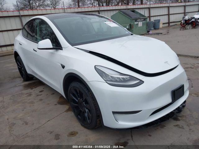 TESLA MODEL Y 2023 7saygdee9pa157175