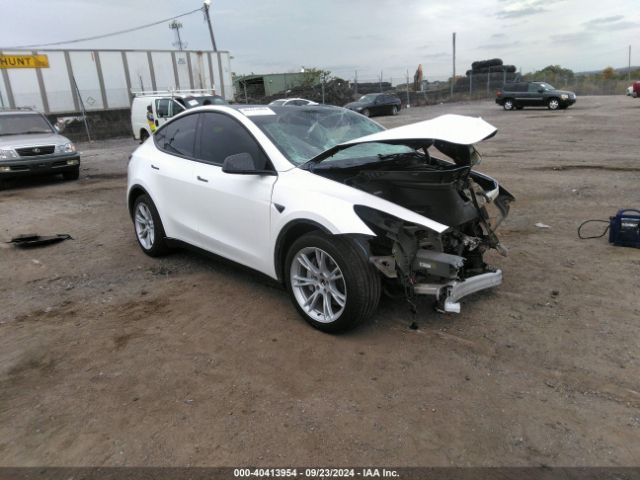 TESLA MODEL Y 2023 7saygdee9pa163557