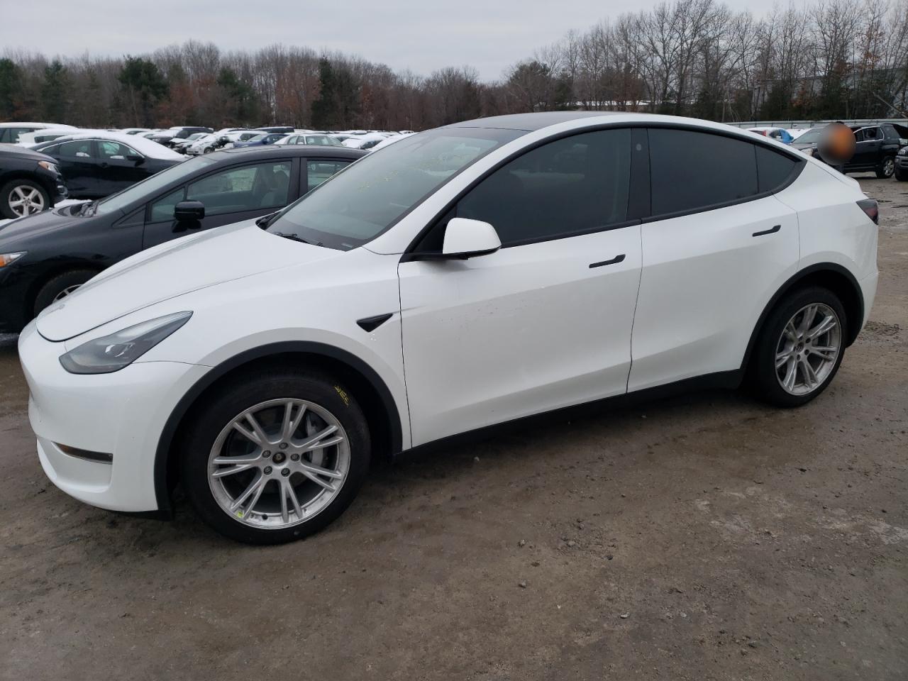 TESLA MODEL Y 2023 7saygdee9pf662961