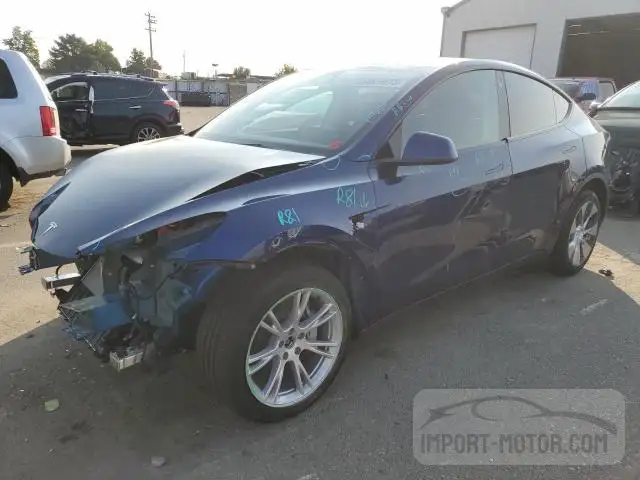 TESLA MODEL Y 2023 7saygdee9pf672499