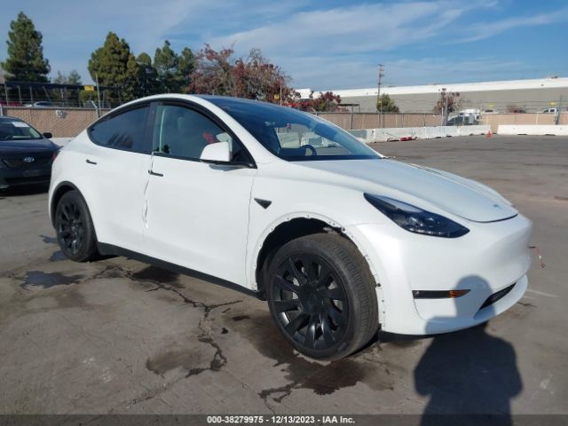 TESLA MODEL Y 2023 7saygdee9pf675726