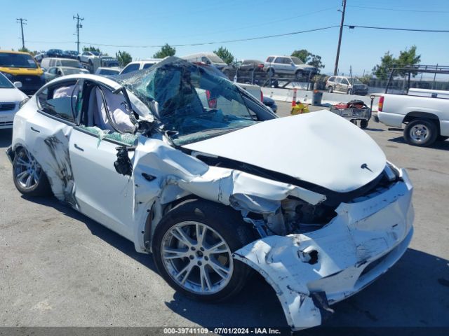 TESLA MODEL Y 2023 7saygdee9pf741059