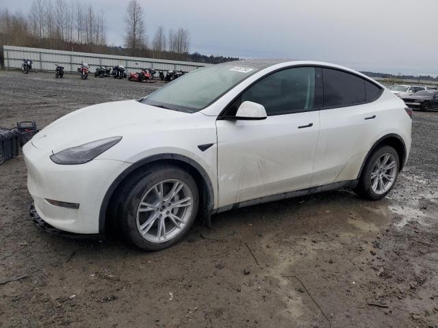 TESLA MODEL Y 2023 7saygdee9pf785031