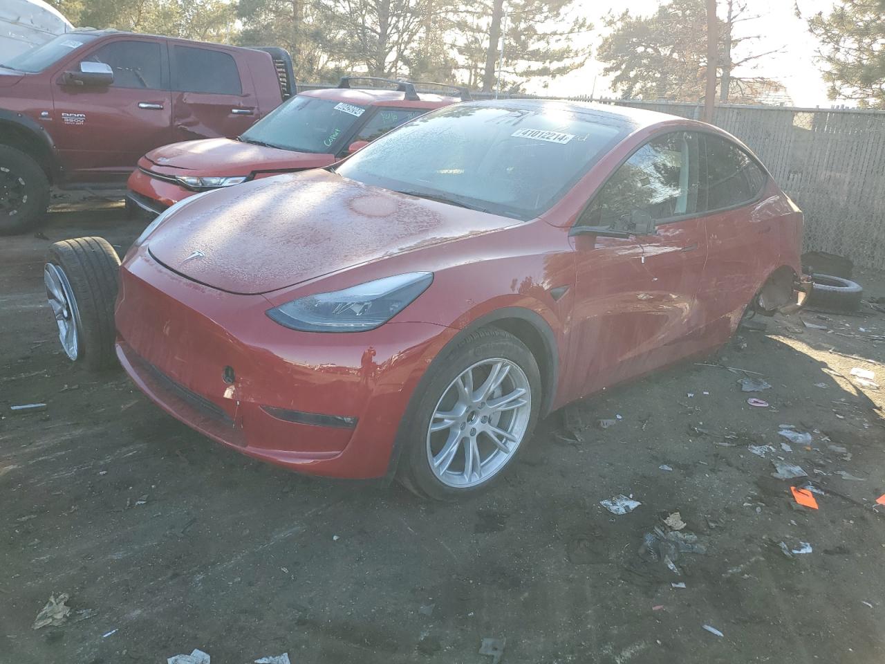 TESLA MODEL Y 2023 7saygdee9pf868149