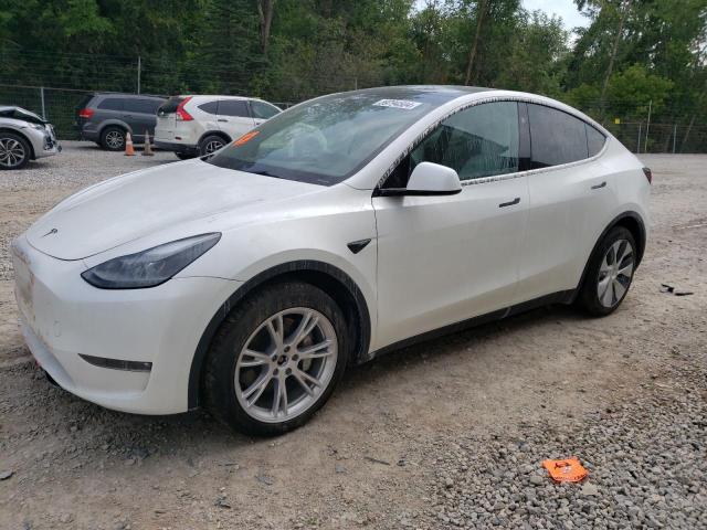 TESLA MODEL Y 2023 7saygdee9pf869947